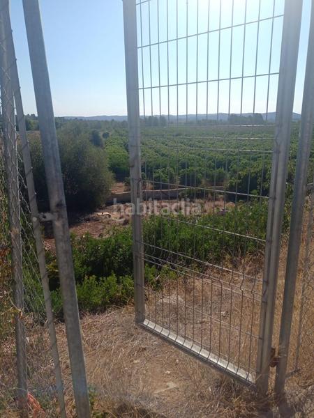 Foto b1f31655-aaa4-4e87-a96e-9e498e651c3b. Terrain résidentiel dans Montroy