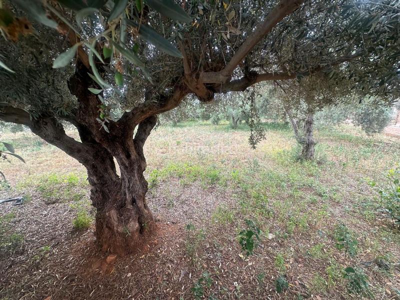 Foto 22db4843-e8ae-452a-8c29-ce2bd3ad7a51. Chalet avec chauffage parking dans Estación - Universidad Castellón de la Plana