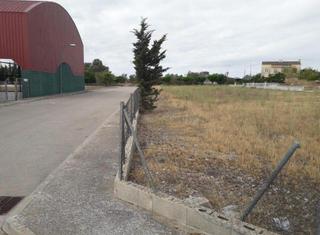 Residential Plot  Cases noves. Parcela residencial en venta en san rafael del rio.