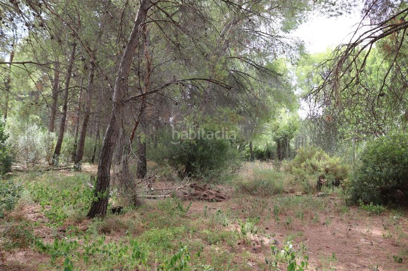 Foto 22c5d1b2-23c5-44d4-9990-73b19631b56e. Chalet  individual en venta en montornes las palmas el refugio, 5 dormitorios. en Benicasim / Benicàssim