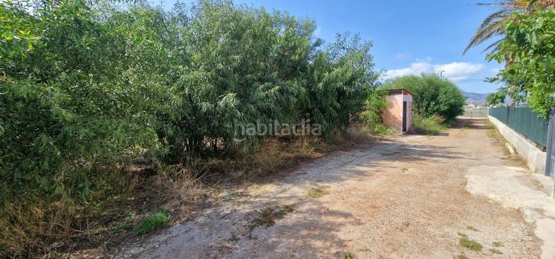 Foto abad50bd-2b70-4cd4-b52a-4964597a95d0. Mas dans El Grao Castellón de la Plana