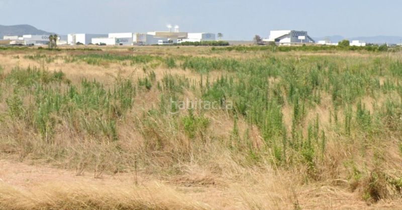 Foto 74e11a7f-c5b1-4bb6-a824-687826d6b21a. Masia a Chilches