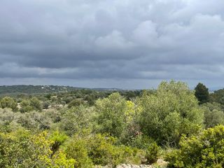 Bauernhof  Las polas. Finca rúst. en venta en calig.