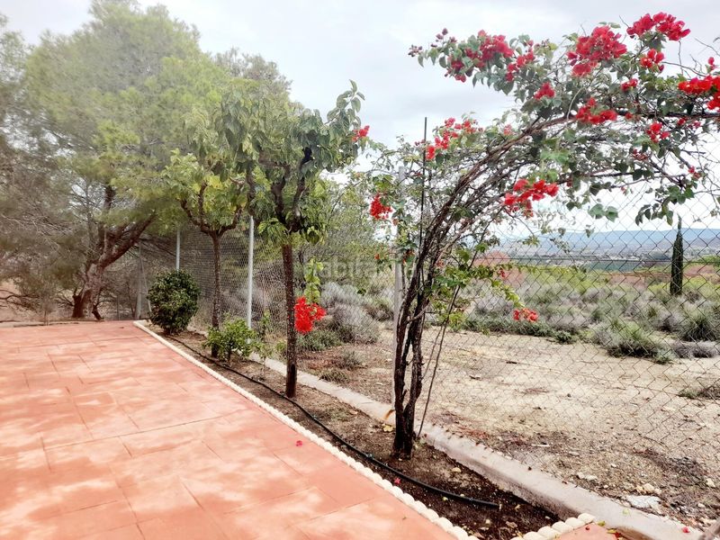 Foto 2bbbadc6-766c-477d-9e27-fa46325820f3. Masia amb piscina a Cañadas de San Pedro Murcia