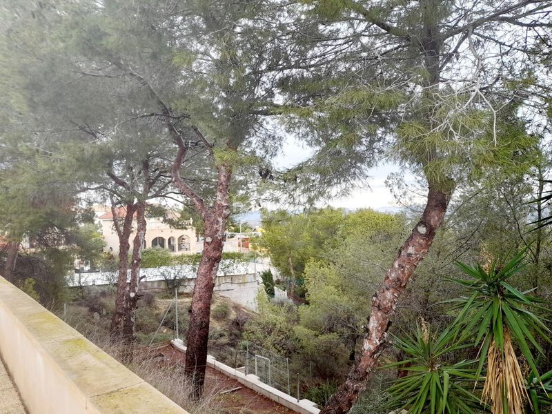 Foto 9cc43d5c-091b-4f93-a276-888d16985fd0. Masia amb piscina a Cañadas de San Pedro Murcia