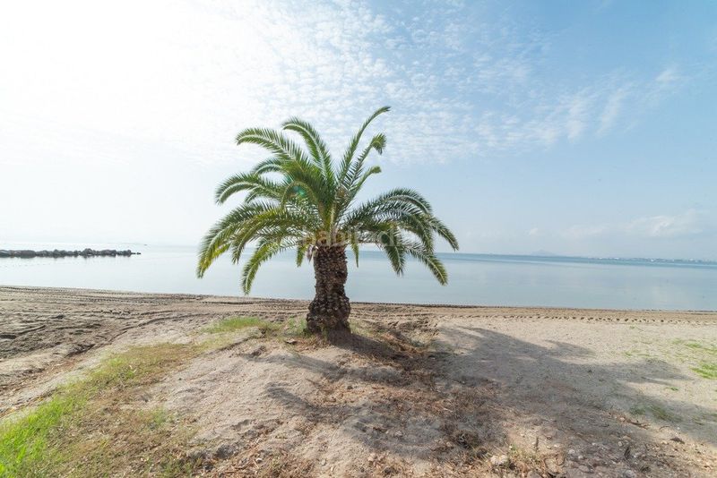 Foto e9ace096-d0ac-4ce5-aab5-5971535a1c83. Pis amb aparcament a Veneziola Manga del Mar Menor (La)