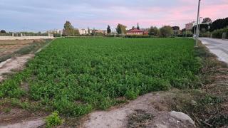 Terrain résidentiel  Paseo de la marquesa. Gran terreno para el hogar de tus sueños
