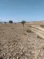 Finca rústica en Polígono polígono 75 parcela 272 vs torre. jumilla (murcia 75. Terreno rústico en torre del rico, jumilla