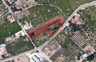 Terrain résidentiel à Camino camino viejo de orihuela. Parcela urbana 1750 m2 hazte tu casa a 10 minutos de murcia  pro