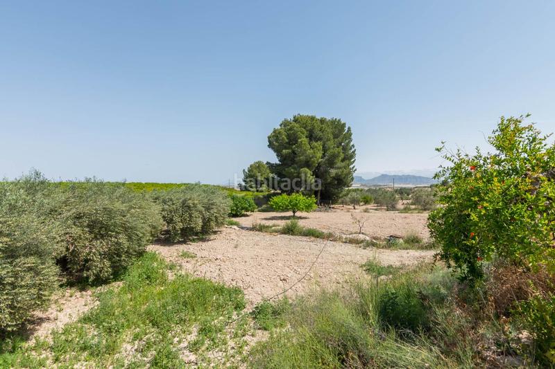 Foto 826f50f5-2d8c-48db-9466-5d92c99af727. Masia amb calefacció aparcament piscina a Fortuna