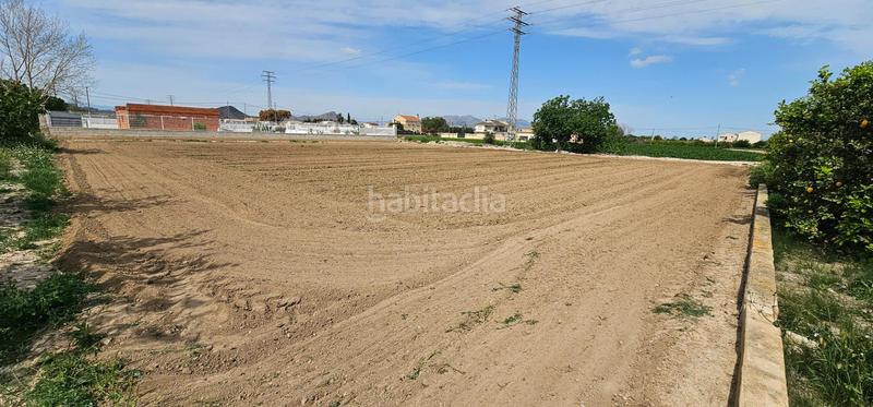 Foto 8e1305f3-589b-4b38-90fb-fa16444b8344. Fondo rustico in Llano de Brujas Murcia