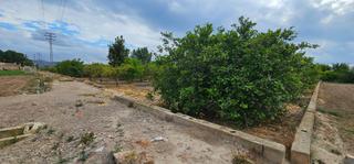 Propriété  Carril de los cristianos. Gran terreno rústico para crear tu zona de ocio