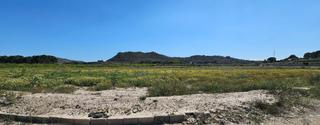 Propriété à Camino camino de los fructuosos 1. Terreno en venta en el esparragal