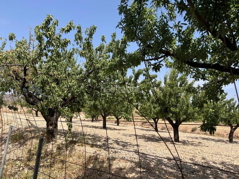 Foto 1726cd40-af01-446d-9edc-05aaa5b21163. Duplex with parking in Abanilla