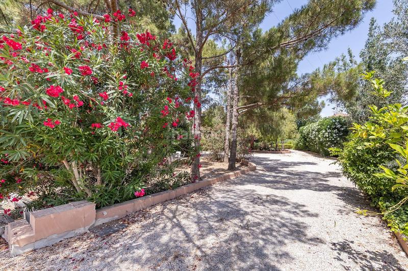 Foto 69032554-a04d-4dfe-b46a-3aef9d1a09c4. Chalet  en Los Dolores en Los Dolores Murcia