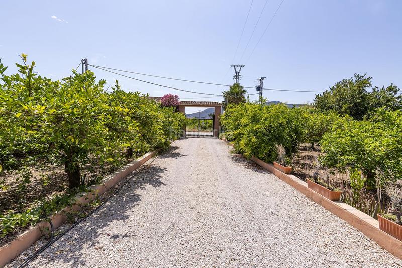 Foto 8c012530-7f2a-4561-a8bf-2d44c85e26a1. Chalet  en Los Dolores en Los Dolores Murcia