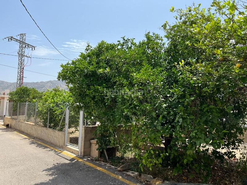 Foto dcbd1b84-8bcb-42c7-b246-a59ad826316f. Casale con parcheggio in Abanilla