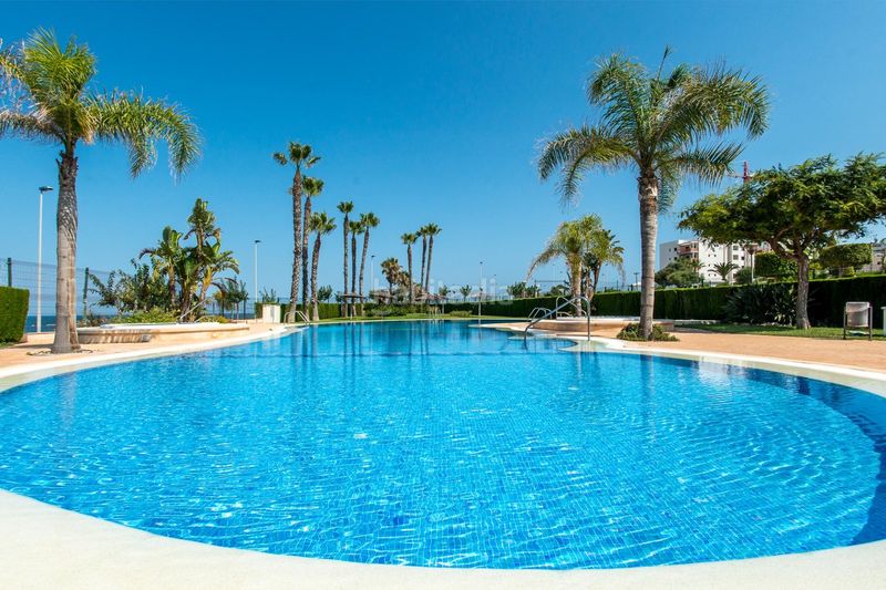 Foto 0be898bd-ffbc-4659-b0d8-274925422fe4. Pis amb aparcament piscina a Torre de la Horadada Pilar de la Horadada