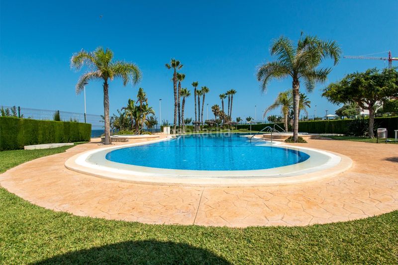 Foto f11e3af2-7da0-48e5-b35c-34ce45eb8331. Pis amb aparcament piscina a Torre de la Horadada Pilar de la Horadada