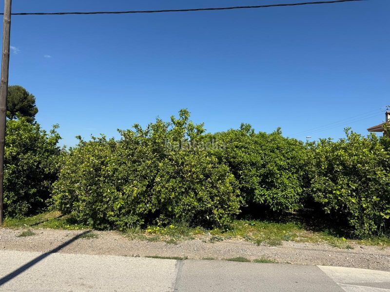 Foto 47ec472b-1437-453f-b4df-37a391a3e137. Finca rústica a Llano de Brujas Murcia