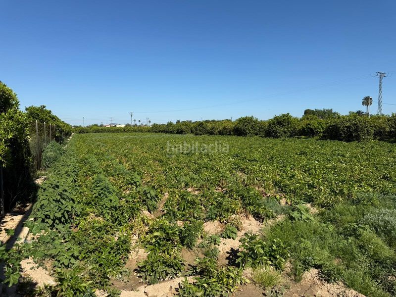Foto 538e77bd-5761-4da6-ad08-05cc76ce49ae. Finca rústica a Llano de Brujas Murcia