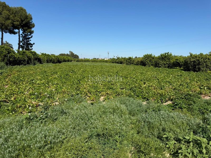 Foto e95e22e4-75f2-4760-9a79-cab33454d50f. Finca rústica a Llano de Brujas Murcia