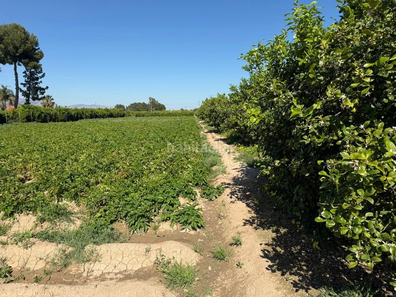 Foto f486e594-08d0-404b-9f29-0db543648791. Finca rústica a Llano de Brujas Murcia