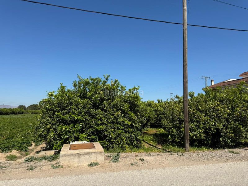 Foto fe6ff930-a7e0-4256-9193-08e65676c687. Finca rústica a Llano de Brujas Murcia