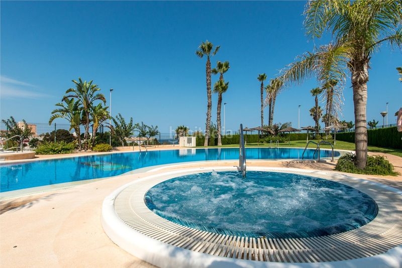 Foto 3c702c85-b351-4761-9906-60f22647d5db. Àtic amb calefacció aparcament piscina a Mil Palmeras Pilar de la Horadada