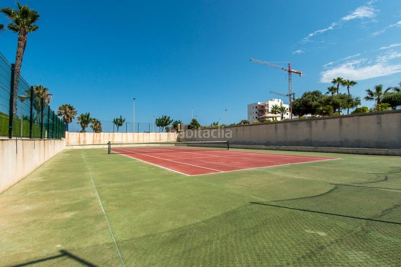Foto b8eb593f-fd47-4e04-892a-76d9a14da6f2. Àtic amb calefacció aparcament piscina a Mil Palmeras Pilar de la Horadada