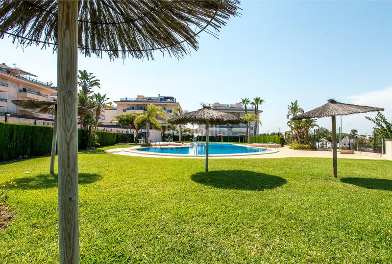 Foto d1fe50a6-cd9d-4d30-9834-4b88ade34b15. Àtic amb calefacció aparcament piscina a Mil Palmeras Pilar de la Horadada