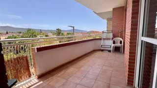 Lloguer Pis  Calle artemisa. Amplia vivienda de 4 dormitorios en el palmar