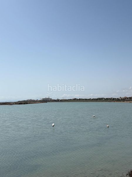Foto e3c01804-7041-40d3-b992-7851d1836262. Duplex con riscaldamento parcheggio in Los Peñascos-El Salero-Los Imbernones San Pedro del Pinatar