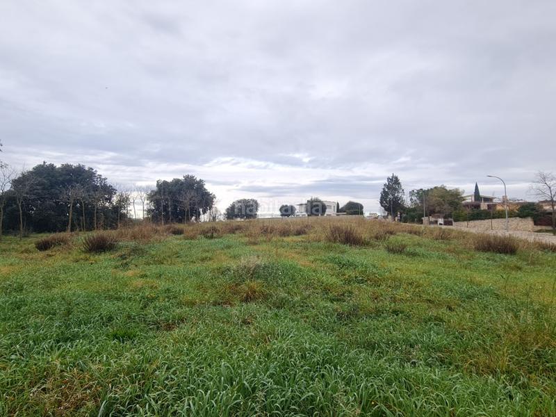 Foto c48b01ed-6f68-4d7f-8be0-2560f4d71492. Terreno residencial en silvio llobet 9 parcela en venta en Cervià de Ter