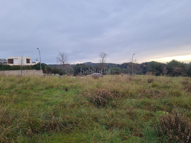 Foto e6b8fb38-b4ad-4b21-ba8e-f2d435e26857. Terreno residencial en silvio llobet 9 parcela en venta en Cervià de Ter