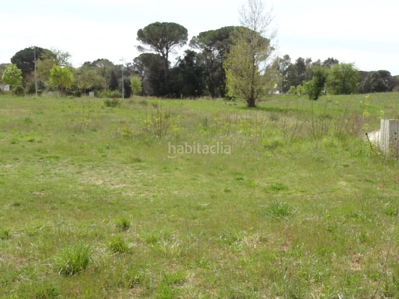 Foto 401da301-5fb7-4865-8145-2a7fe2a8d73a. Terreno residencial parcelas en venta en fornells park. en Fornells de la Selva