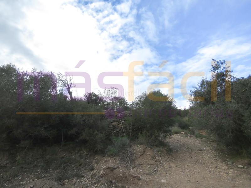 Foto 6a4c7d7c-6f1f-45a1-b1a0-d3a9b01c3772. Masia a los jarales a Perín Cartagena