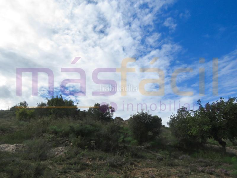 Foto 871fb22f-616a-4ab4-99ff-ef62bcd77713. Masia a los jarales a Perín Cartagena