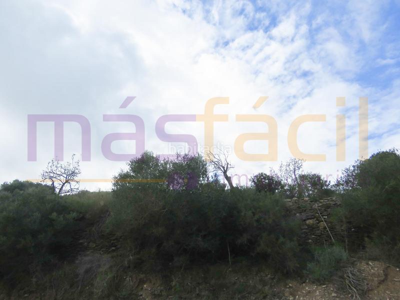 Foto 87af99c8-4219-4fa5-a784-b3e96a1cebfc. Masia a los jarales a Perín Cartagena