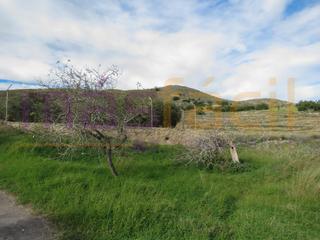Terrain résidentiel à Perín. Cartagenaterreno