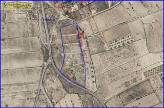 Rural plot in Fortuna. Gran oportunidad de inversión en la matanza de fortuna