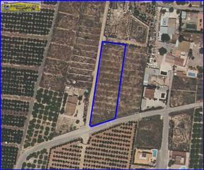 Finca rústica a Santomera. Parcela urbanizable en matanzas