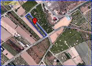 Propriété  Paseo de la marquesa. Finca rústica en cobatillas: oportunidad única para inversores ?