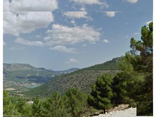 Terreny residencial a Nerpio. 509720 m²,  509720 m² solar, asfaltado, arbolado, edificaciones
