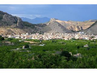 Terreny residencial  Rm-b15. Parcela en venta en ricote
superficie total 2000 m², parcela su