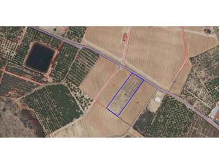 Terreny residencial  Camino del pantano. Superficie total 4057 m², terreno superficie solar 4057 m², cult