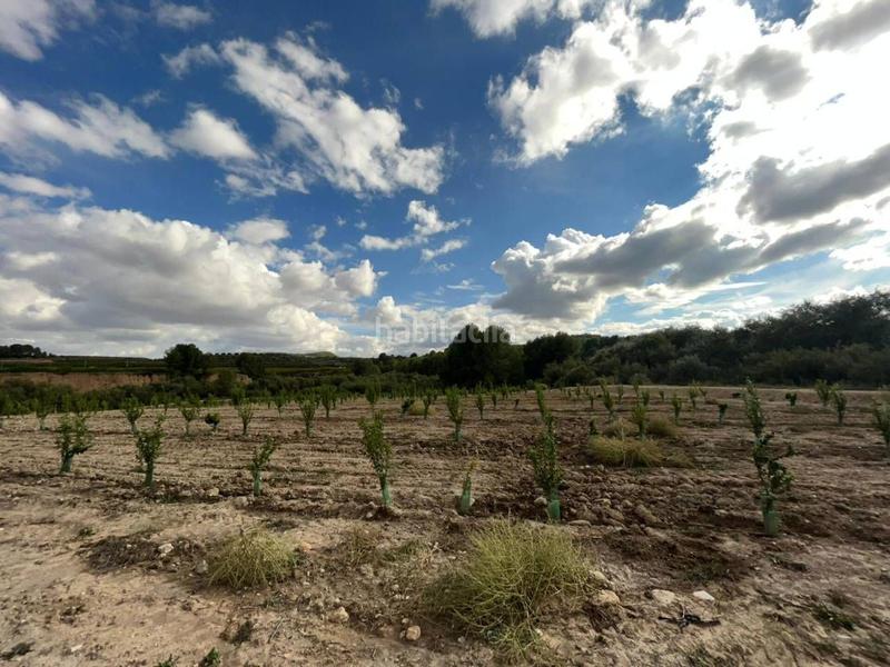 Foto 1dfc1d13-fa0b-4c81-a003-ac07a1f742bf. Terreno residencial finca rustica en venta en Cehegín