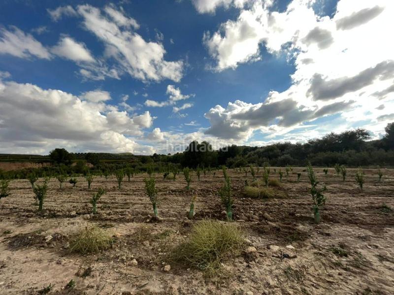 Foto b8974f8f-a2e9-4cca-a545-7d2fa6e40e46. Terreno residencial finca rustica en venta en Cehegín