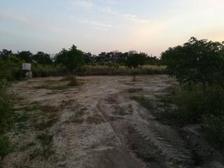 Terrain résidentiel  Ortuños. Venta de finca rústica en rincon de berniscornia, murcia