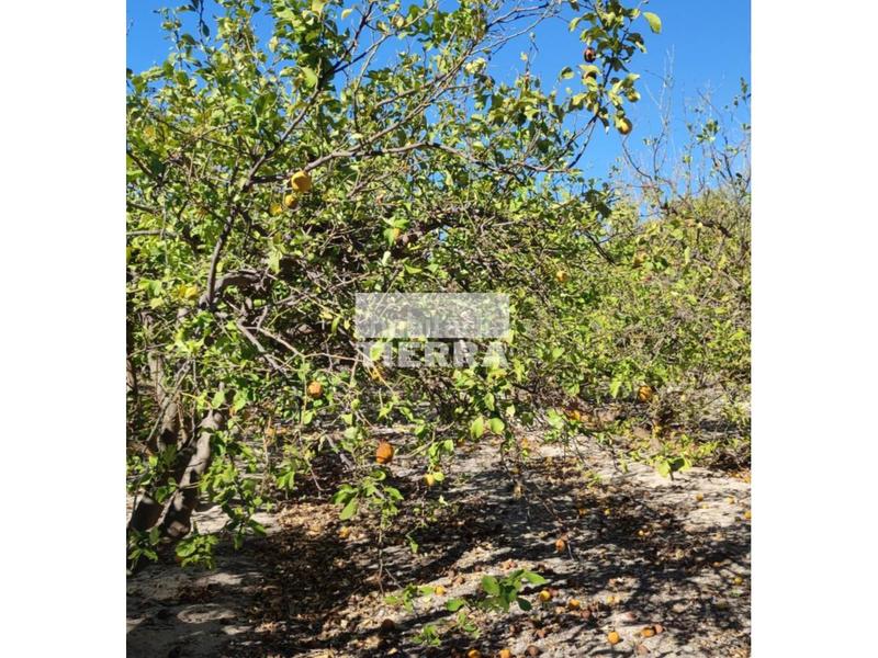 Foto 3e02702e-186a-4574-86eb-3e41322b9538. Edifici a El Secanet-Hacienda del Sol Vila Joiosa (la)